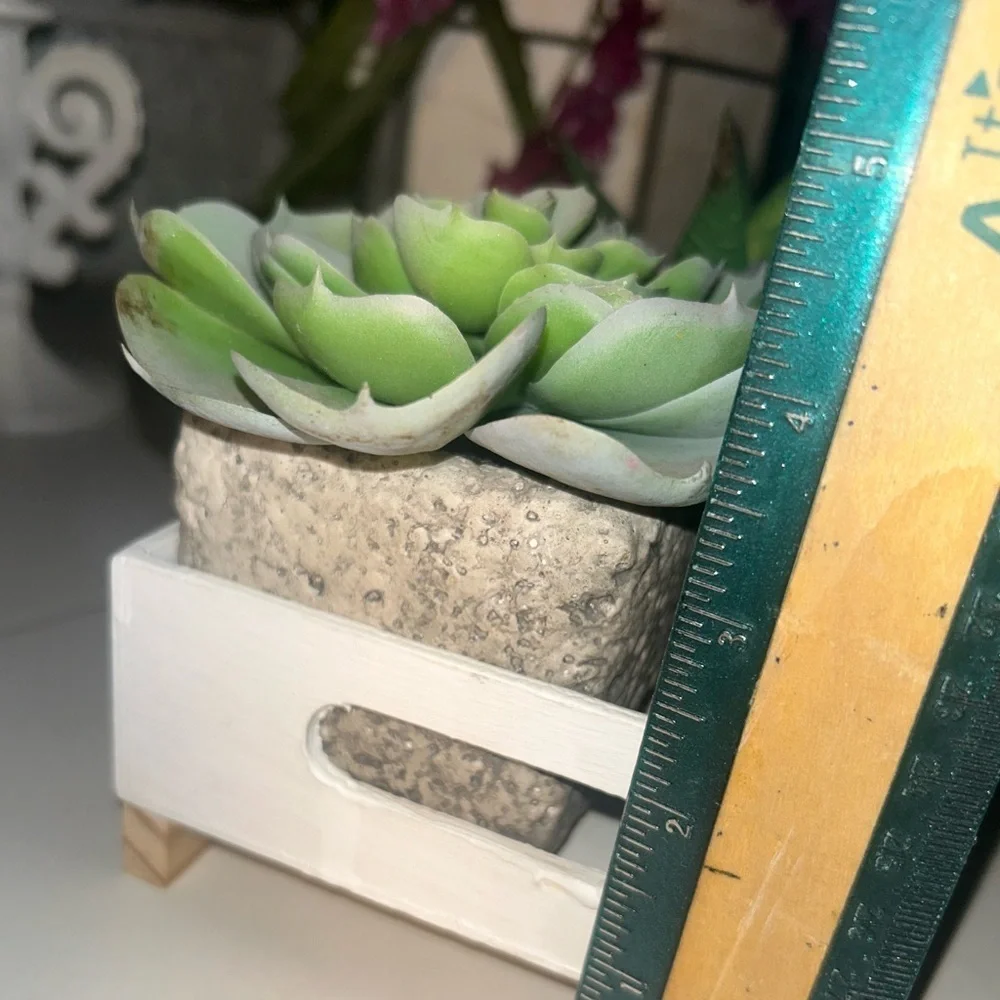 Succulent House Planter Pot Faux Arrangement Tray White Wood Accents Eco